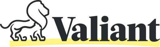 Valiant finance