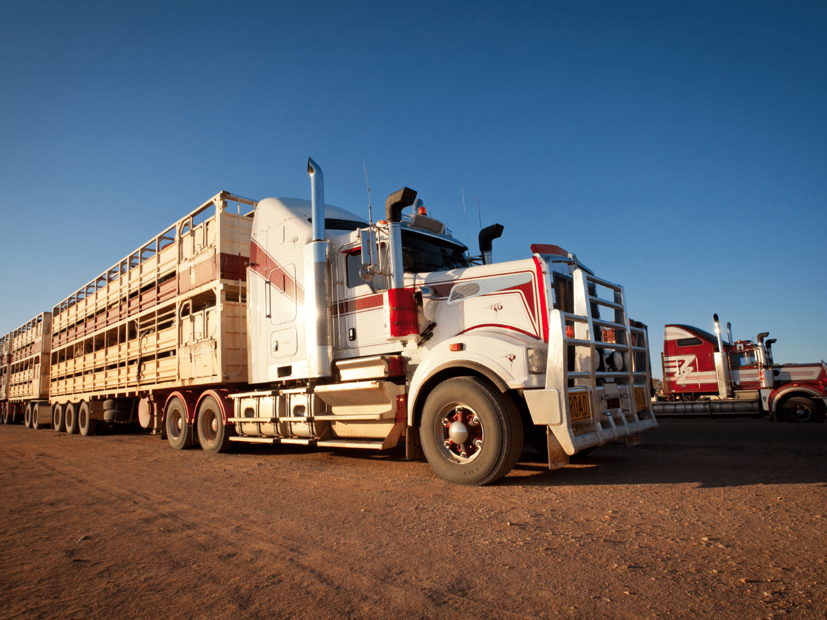 Truckies insurance