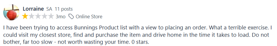 Slow bunnings website